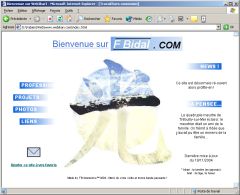 Lien vers fbidal.com